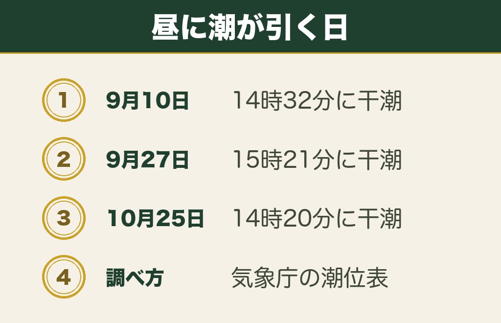 大分の粟嶋社は叶え岩が見える干潮の時間で決まる