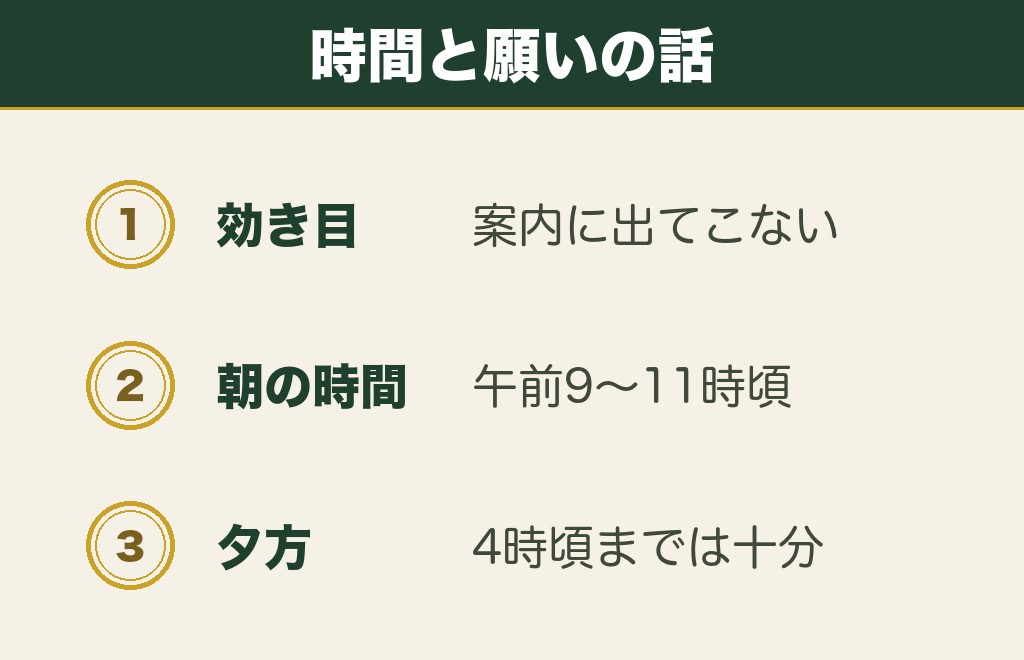 神社参拝のスピリチュアルな時間として語られること